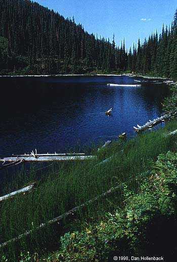 Moore Lake in Mineral County... Click for map!
