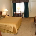 20140506_DPH_9342758x384-rm16