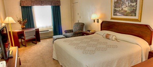 Single King Deluxe Room